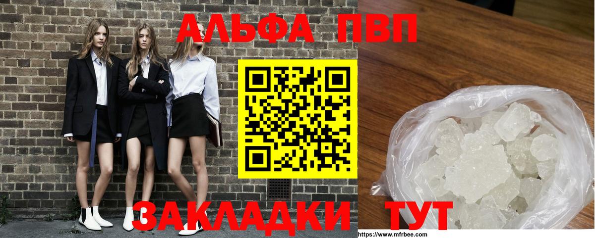 Альфа ПВП СК Санкт-Петербург