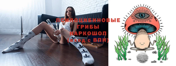 альфа пвп Медвежьегорск
