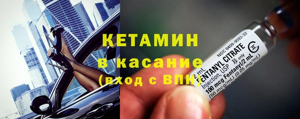шишки Михайловск