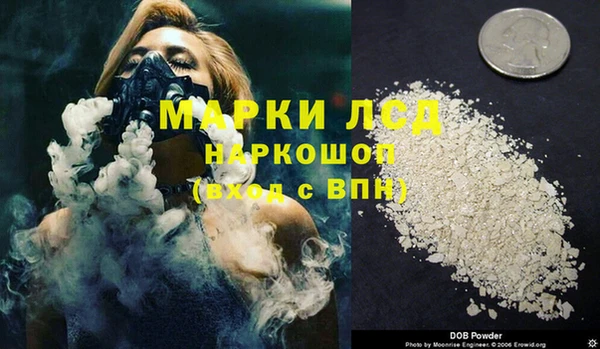 шишки Михайловск