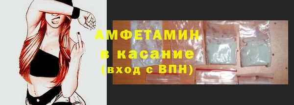 шишки Михайловск