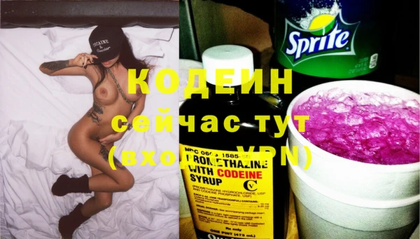 альфа пвп Медвежьегорск