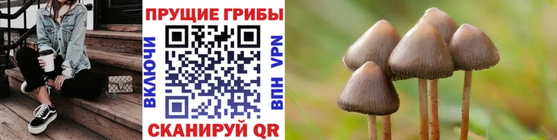 мега зеркало  Санкт-Петербург  Псилоцибиновые грибы ЛСД 