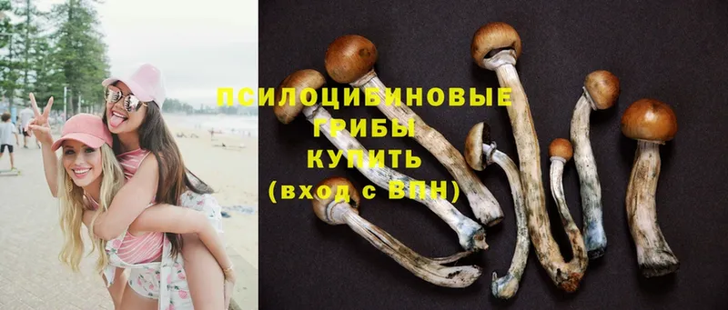 Галлюциногенные грибы MAGIC MUSHROOMS  Санкт-Петербург 