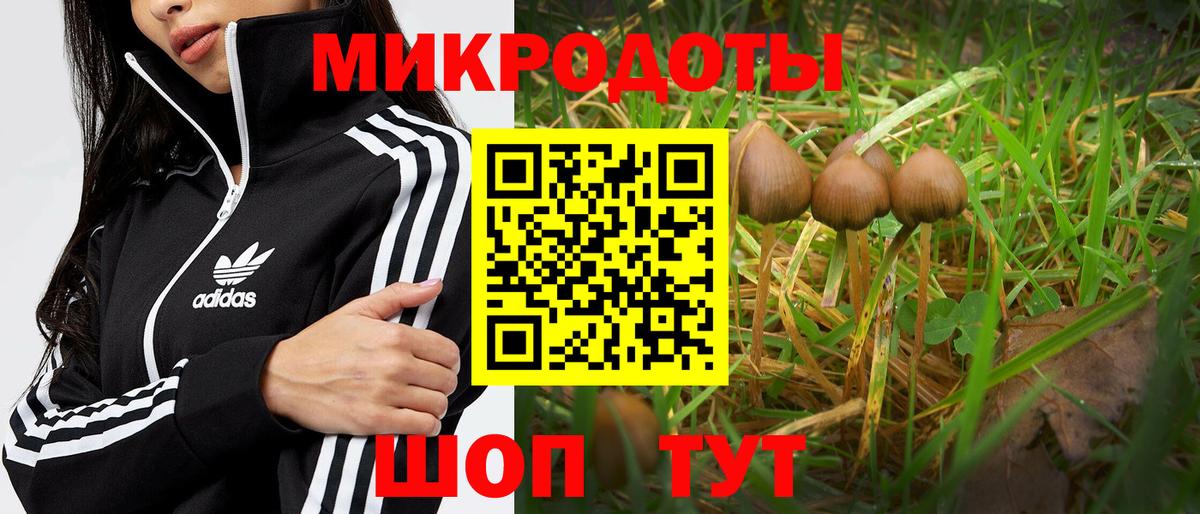 Санкт-Петербург  Галлюциногенные грибы Cubensis  Вход с VPN  Псилоцибиновые грибы Psilocybine cubensis 