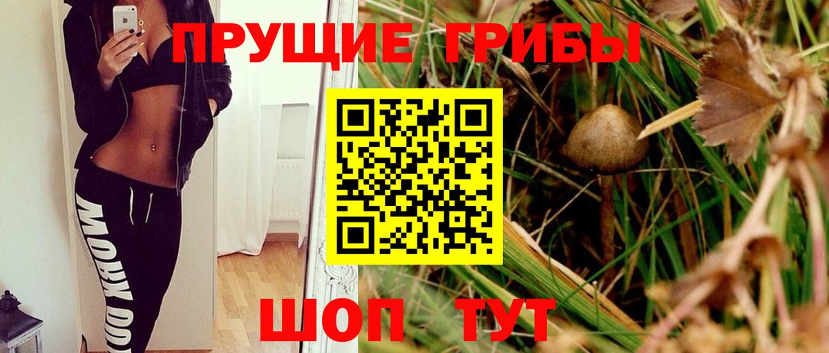 ГАШ  НБОМе  Каннабис  Codein  Меф МЯУ МЯУ   КОКАИН  Санкт-Петербург  Вход с VPN 
